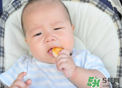 磨牙餅干吃不完怎么辦？磨牙餅干吃到多大？