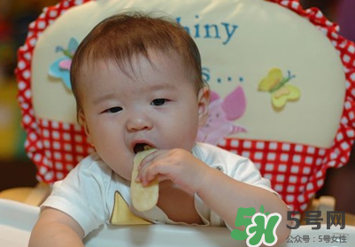 磨牙餅干吃不完怎么辦？磨牙餅干吃到多大？