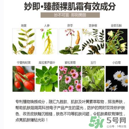 妙即素顏霜怎么樣？妙即素顏霜多少錢一盒？