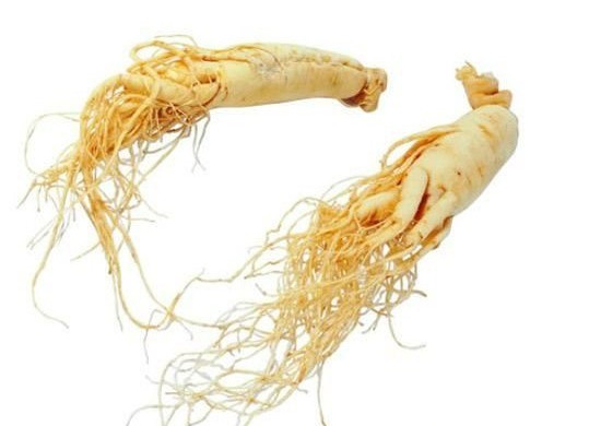 黑枸杞能和西洋參一起泡水喝嗎？黑枸杞和西洋參泡水喝的功效