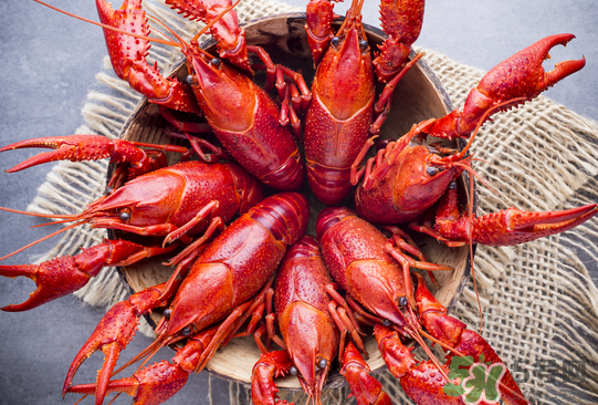 啤酒麻辣小龍蝦怎么做？麻辣小龍蝦為什么放啤酒？