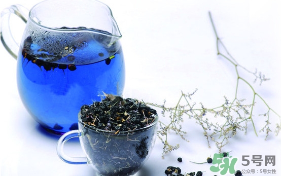 黑枸杞可以天天喝嗎？黑枸杞泡水一天喝幾次