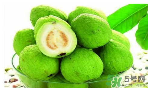 番石榴皮可以吃嗎？番石榴皮的功效與作用