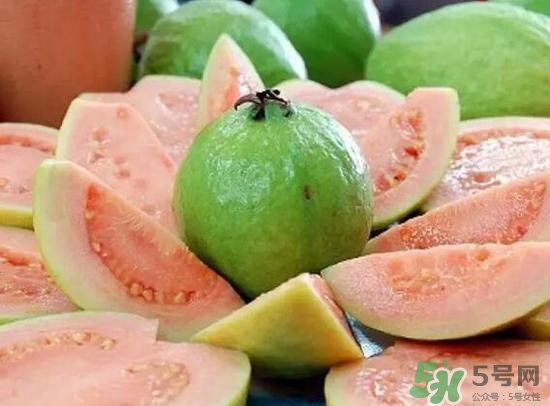 產婦可以吃番石榴嗎？坐月子可以吃番石榴嗎？