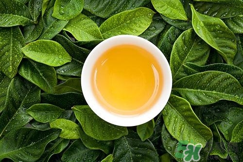 番石榴葉煮水的功效 番石榴葉可不可以醒酒 番石榴葉煮水的功效 番石榴葉可不可以醒酒