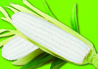白玉米煮后變黃能吃嗎？白玉米為什么變黃了？