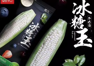 冰糖玉米?是轉(zhuǎn)基因嗎？冰糖玉米多少錢一斤？
