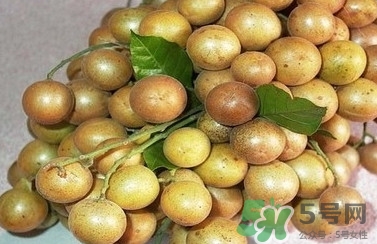 山黃皮怎么做好吃？山黃皮有什么藥用價(jià)值