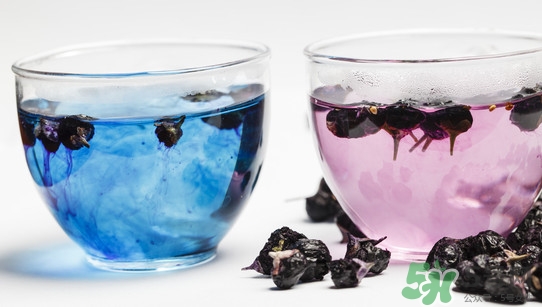 黑枸杞可以和菊花一起喝嗎？菊花和黑枸杞一起喝好嗎