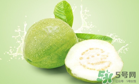 產婦可以吃番石榴嗎？坐月子可以吃番石榴嗎？