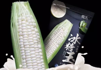 微玉冰糖玉米可以生吃嗎？微玉冰糖玉米安全嗎？