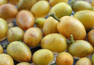 如何腌制黃皮干？如何曬黃皮干