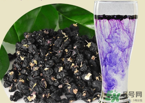 女人喝黑枸杞有什么用？女人喝黑枸杞要注意什么