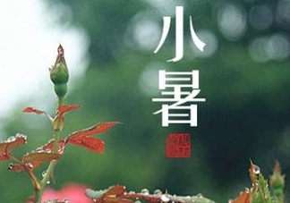 小暑種什么菜？小暑為什么要種牽?；?？