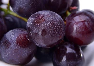 巨峰葡萄是哪里的？巨峰葡萄產(chǎn)地