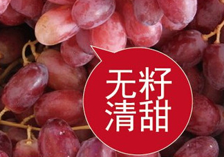 ?無籽紅提?孕婦能吃嗎吃嗎？孕婦能不能吃無籽紅提？