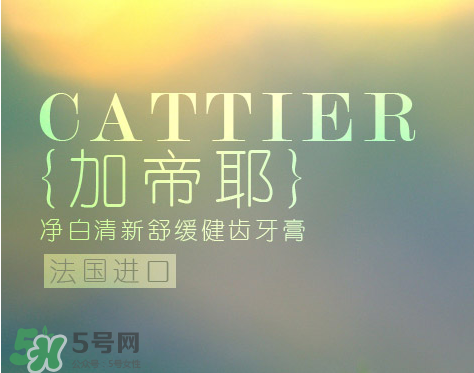 cattier加帝耶是什么牌子？法國cattier什么檔次？