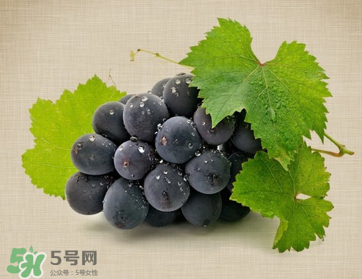 夏黑葡萄多少錢一斤？夏黑葡萄怎么挑選？