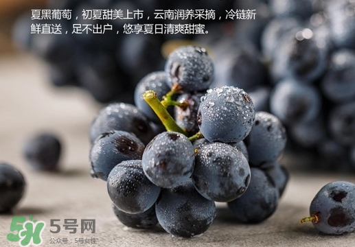 夏黑葡萄皮能吃嗎？夏黑葡萄怎么吃？