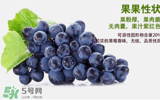 夏黑葡萄怎么洗？夏黑葡萄怎么洗才干凈？