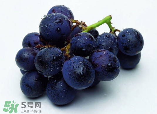 巨峰葡萄和葡萄有什么區(qū)別？巨峰葡萄是轉(zhuǎn)基因的嗎？