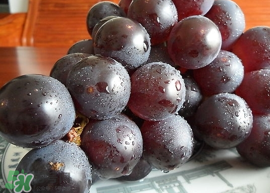 巨峰葡萄和葡萄有什么區(qū)別？巨峰葡萄是轉(zhuǎn)基因的嗎？