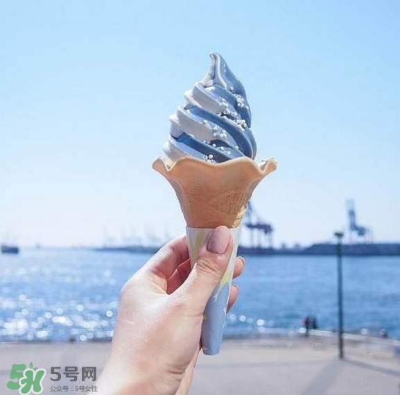 鯨鯊冰淇淋好吃嗎？鯨鯊冰淇淋多少錢？