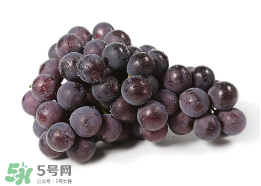 巨峰和夏黑哪個好吃？哪個貴？有什么區(qū)別？