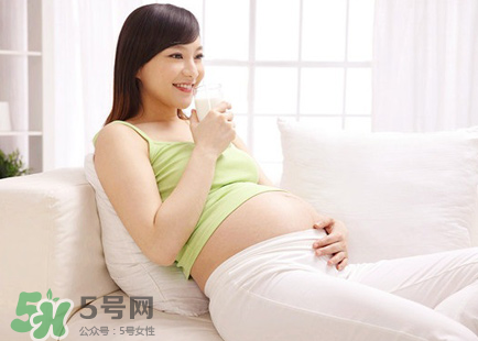 篙苞孕婦能吃嗎？孕婦能不能吃篙苞？