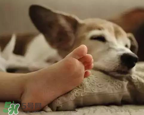 七月份可以開窗睡覺嗎？夏天可以開窗睡覺嗎？