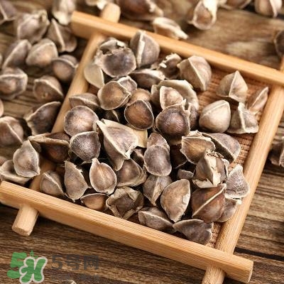 辣木籽怎么吃?辣木籽怎么吃是正確的? 辣木籽怎么吃?辣木籽怎么吃是正確的?