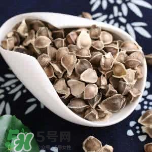 辣木籽的禁忌 辣木籽不適宜人群 辣木籽的禁忌 辣木籽不適宜人群