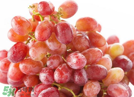 ?無籽紅提?孕婦能吃嗎吃嗎？孕婦能不能吃無籽紅提？