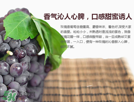 玫瑰香葡萄孕婦能吃嗎？孕婦可以吃玫瑰香葡萄嗎？