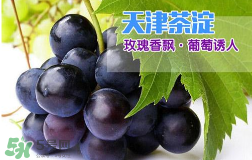 玫瑰香葡萄多少錢一斤？玫瑰香葡萄多少錢一斤2017？