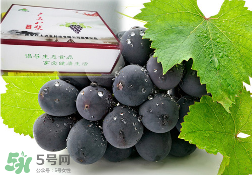 戶太八號葡萄什么時候套袋？戶太八號葡萄什么月份套袋？