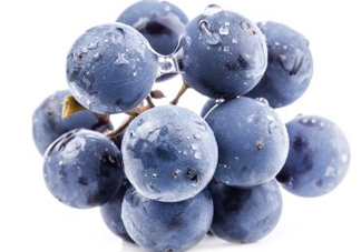 夏黑葡萄幾月成熟？夏黑葡萄幾月份上市？