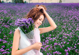 七月份還有薰衣草嗎？7月份還有薰衣草嗎？