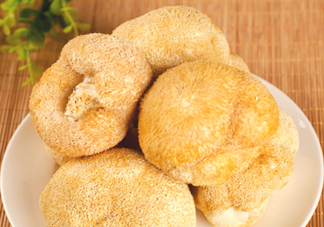 猴頭菇怎樣吃治胃病？猴頭菇能治胃病嗎？