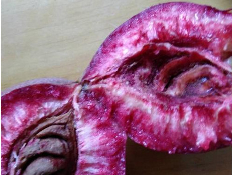 黑桃水果什么時(shí)候吃最好？黑桃水果什么時(shí)候成熟