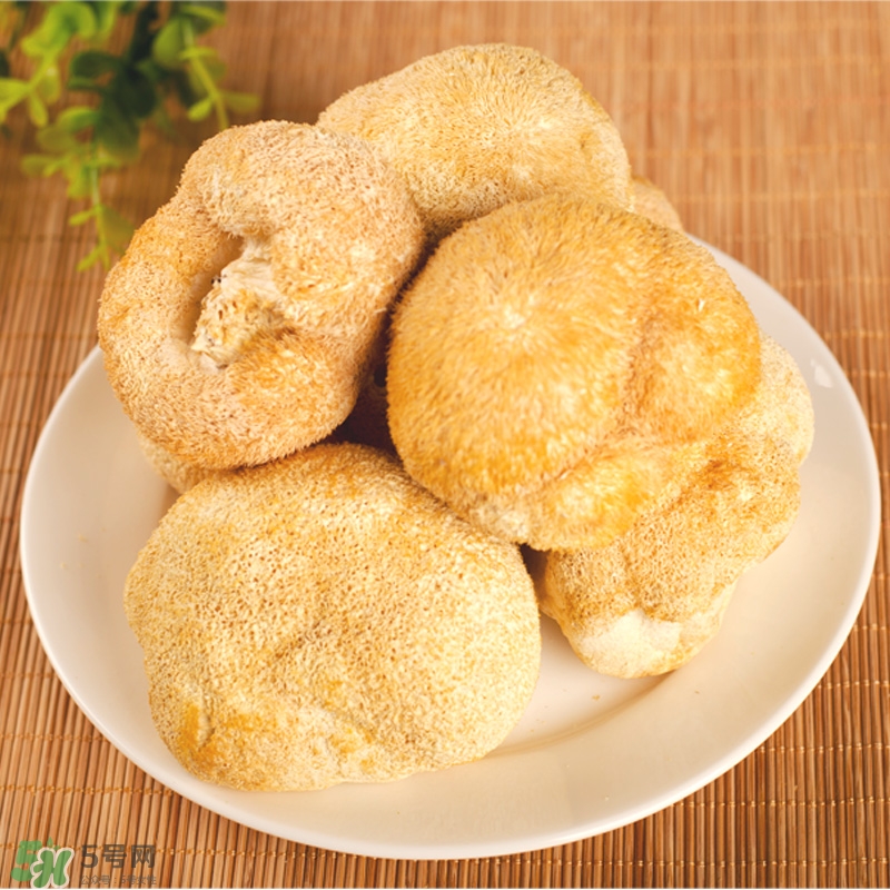 猴頭菇怎樣吃治胃?。亢镱^菇能治胃病嗎？