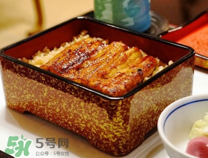 鰻魚飯熱量高嗎？鰻魚飯的熱量有多高