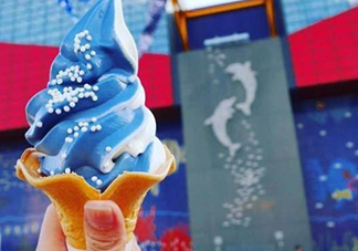 鯨鯊冰淇淋好吃嗎？鯨鯊冰淇淋多少錢？