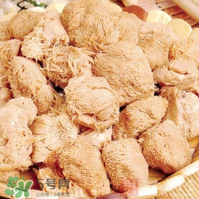 猴頭菇怎樣吃治胃??？猴頭菇能治胃病嗎？