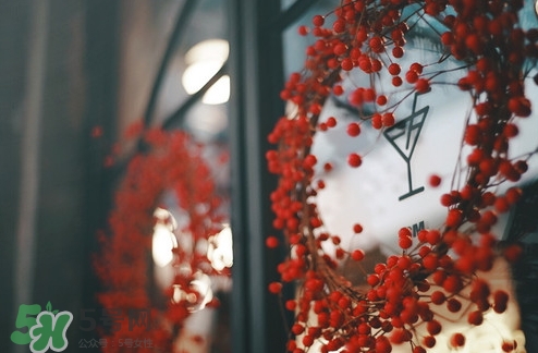 pree冰淇淋多少錢？pree冰淇淋好吃嗎？