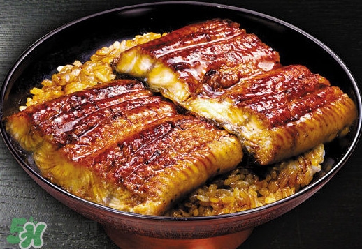 鰻魚飯熱量高嗎？鰻魚飯的熱量有多高