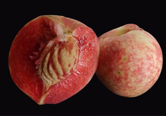 中華血桃什么時候成熟？中華血桃產(chǎn)地在哪兒