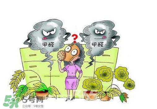 甲醛怎么治理？除甲醛最有效方法