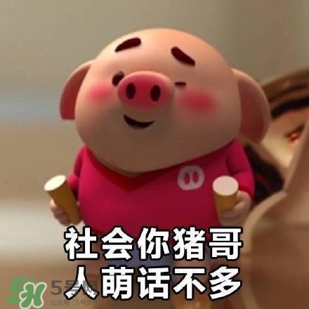 豬小屁表情包是什么？豬小屁表情包為什么這么火？