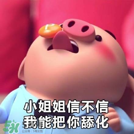 豬小屁表情包是什么？豬小屁表情包為什么這么火？
